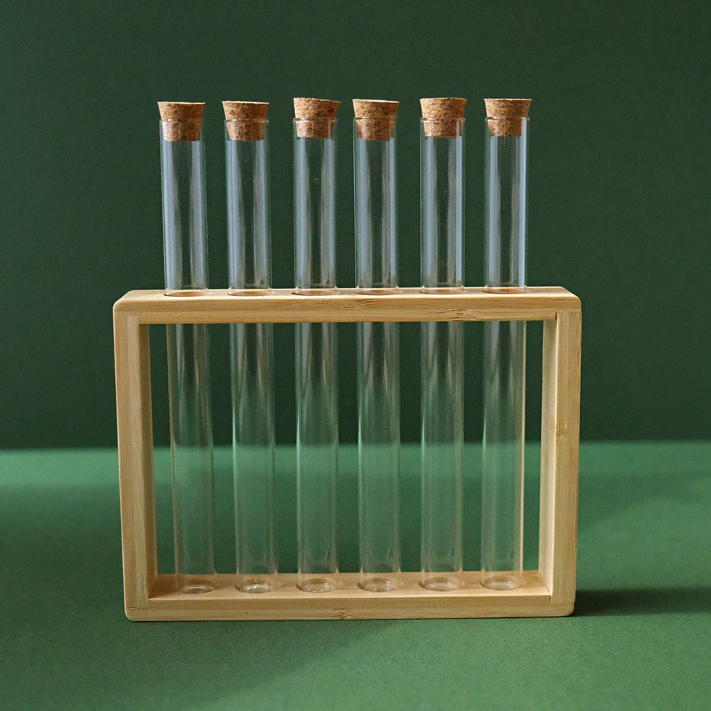 6 Glass Tube 1.7Cm With Stand Kitchen And Dining