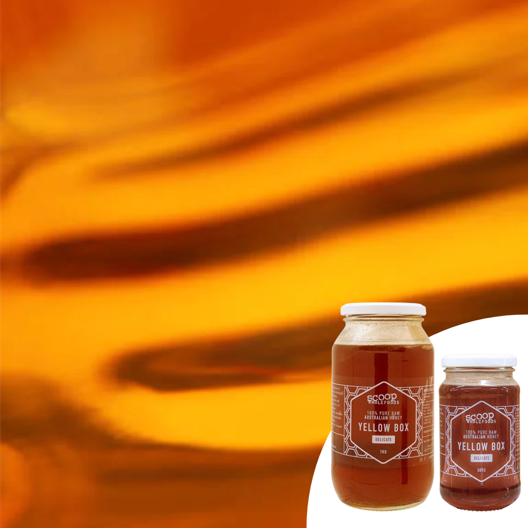 Scoop Honey Yellow Box Honey