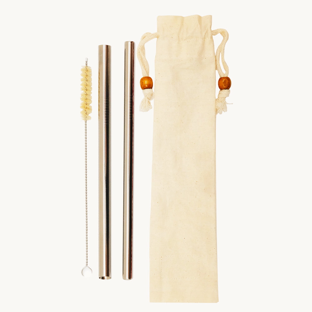 Silver Straw Set in Plain Pouch Kitchen And Dining
