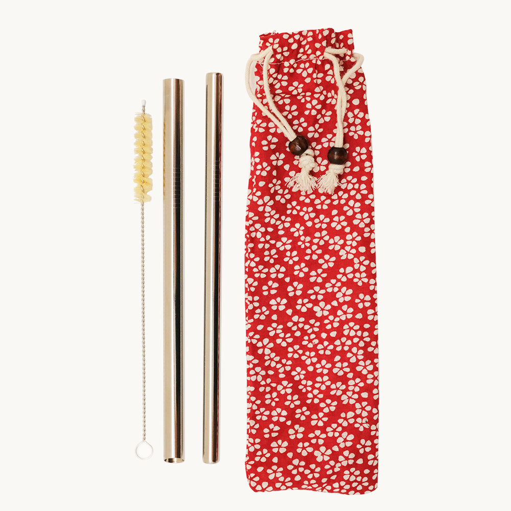 Silver Straw Set in Red Pouch Kitchen And Dining