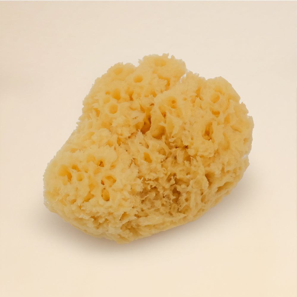 Natural Sea Sponge Beauty And Bath