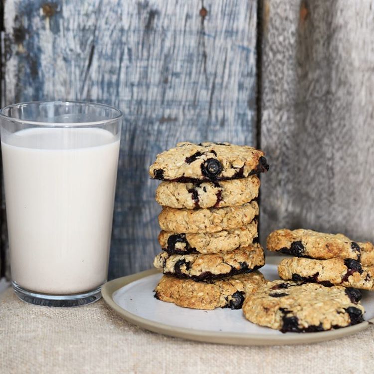 Blueberry Oat Cookies