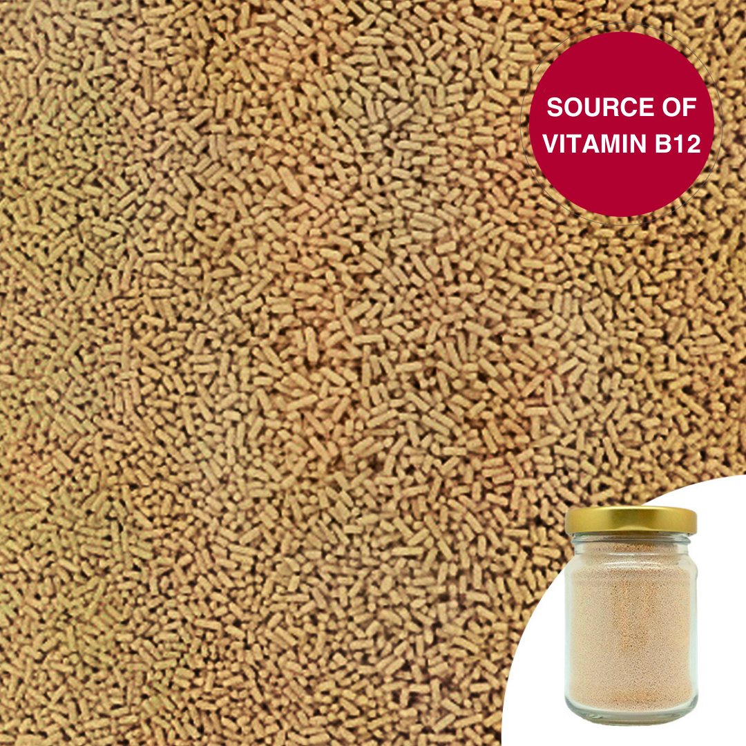 Natural Instant Yeast 100G Salts