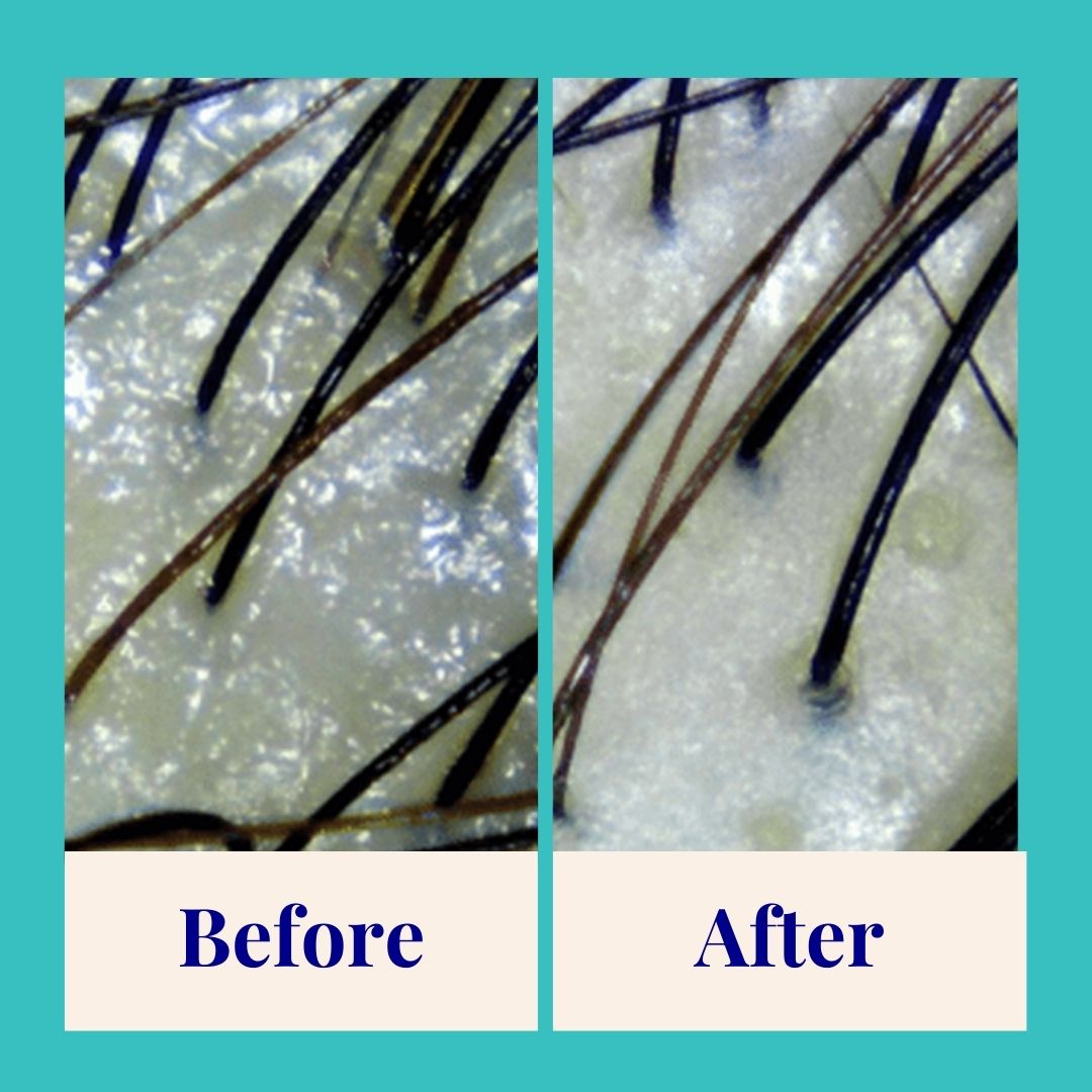 The Powder Shampoo Purifying & Regulating Shampoo (Thyme & Mint) Beauty And Bath