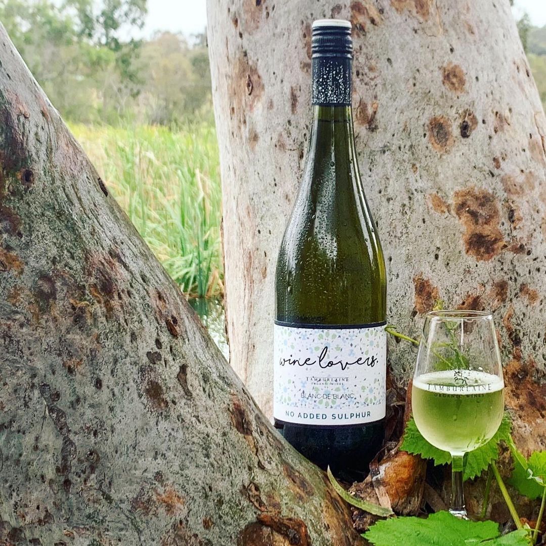 Winelovers Blanc de Blanc Chardonnay 11% Abv 750ML Organic Wines